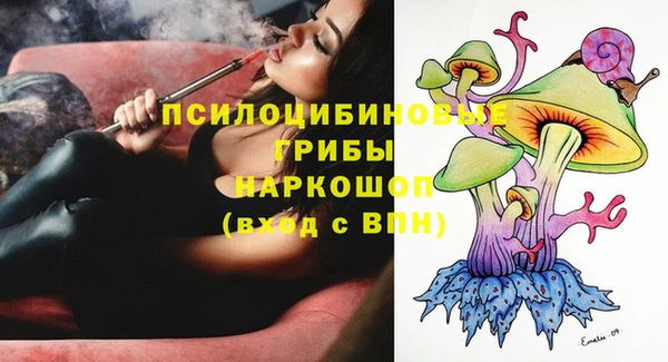 МДПВ Абаза