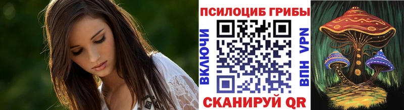 что такое наркотик  МЕГА ССЫЛКА  Псилоцибиновые грибы Magic Shrooms  Луга 