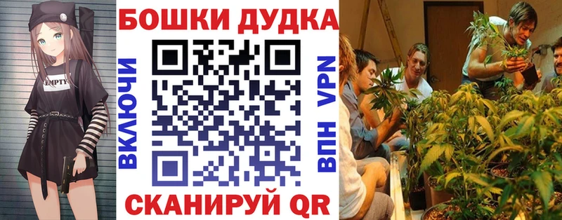 Каннабис SATIVA & INDICA продажа наркотиков Луга